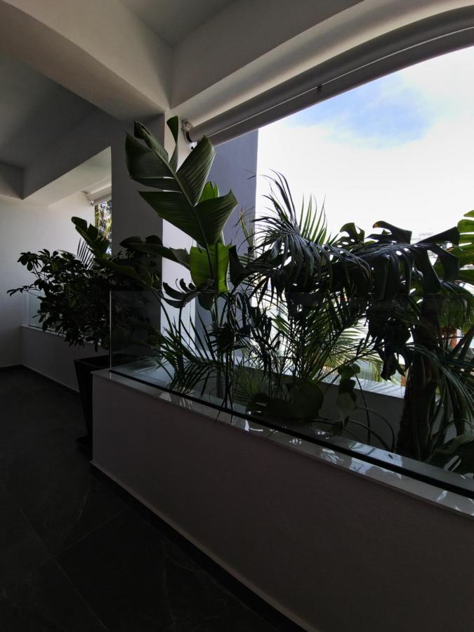 Carisa Deluxe Apartment With Jacuzzi Larnaca Exterior photo
